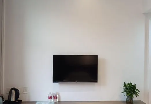 Baolong Homelike Hotel (Shanghai Xuhui)