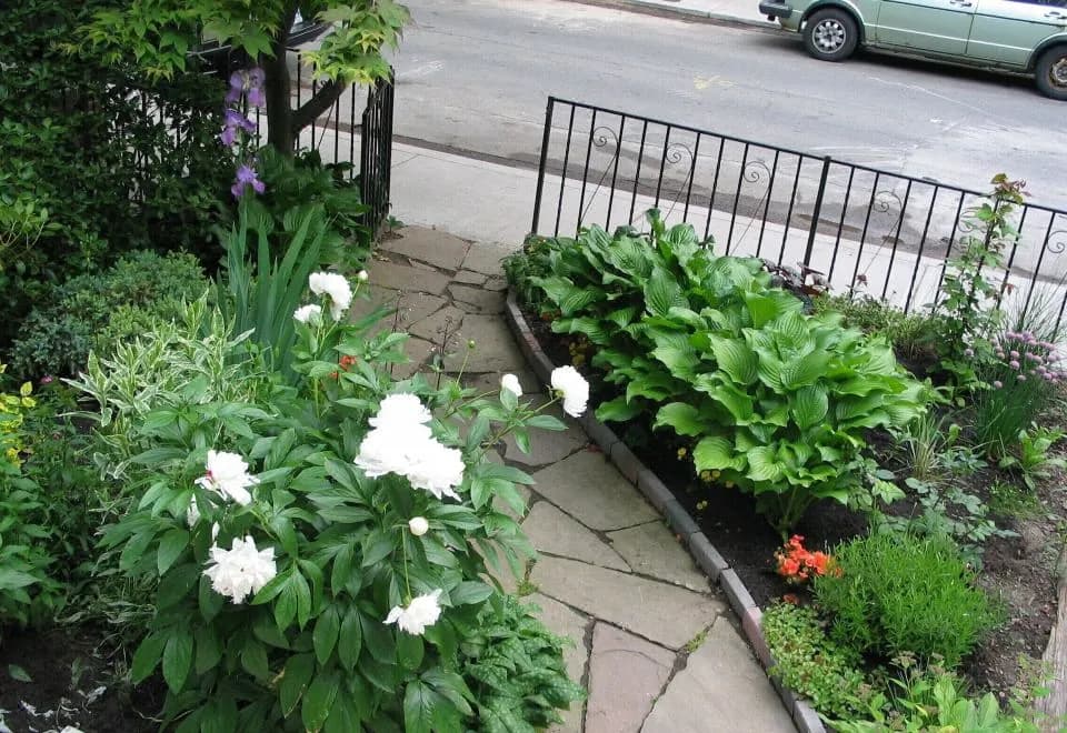 A Seaton Dream B&B
