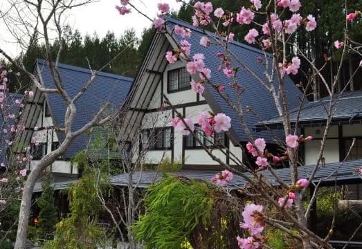 Hida Tsuzuri Oboro