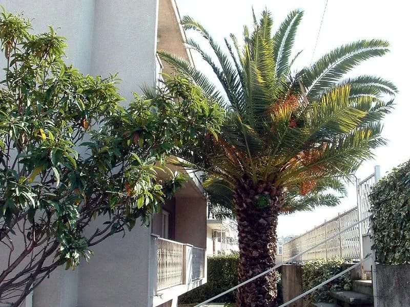 Apartments Katija