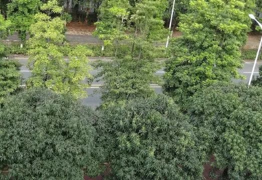 Guangzhou Baicheng University Town Jixiang Apartment