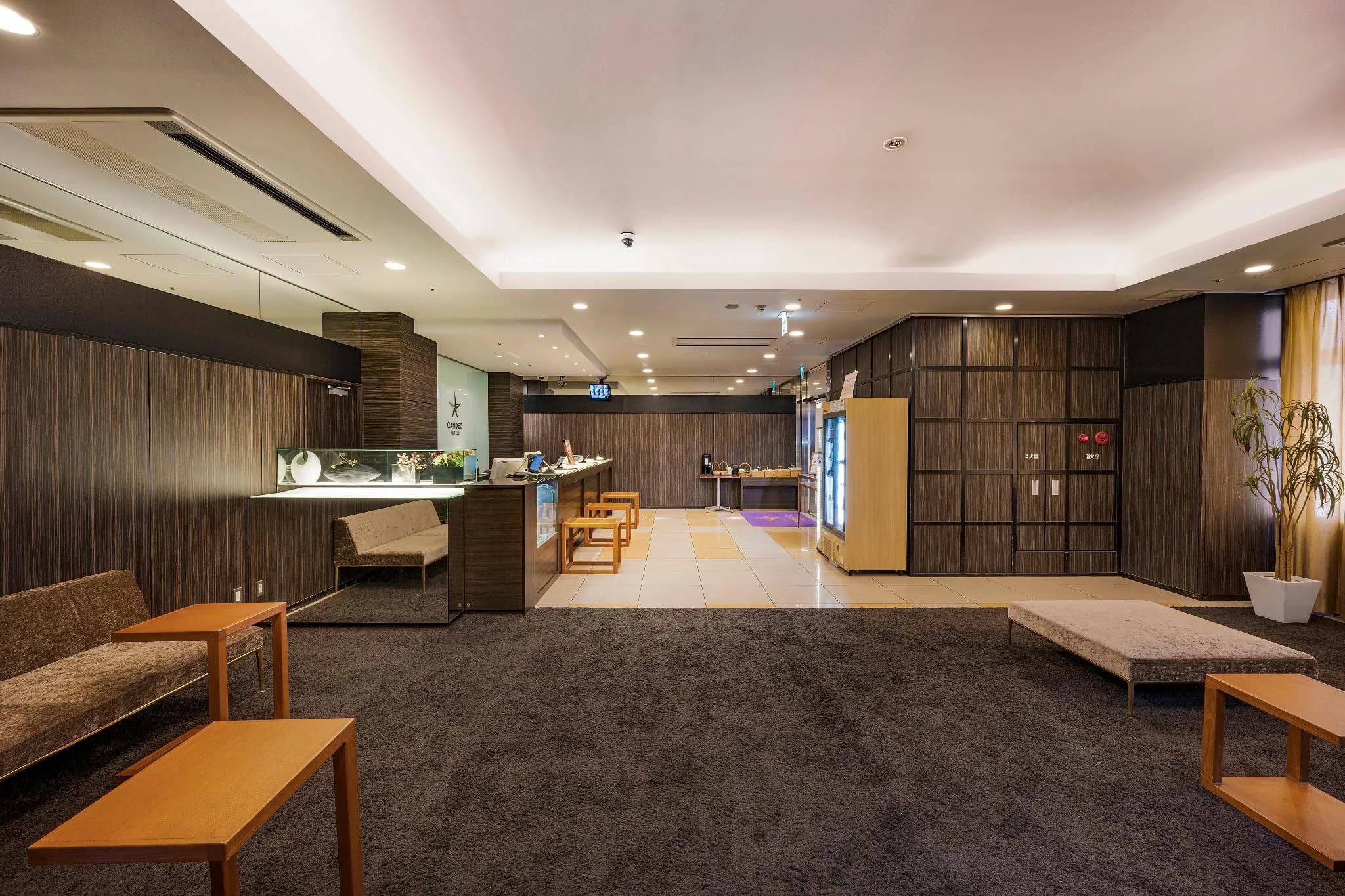 Candeo Hotels Ueno Park