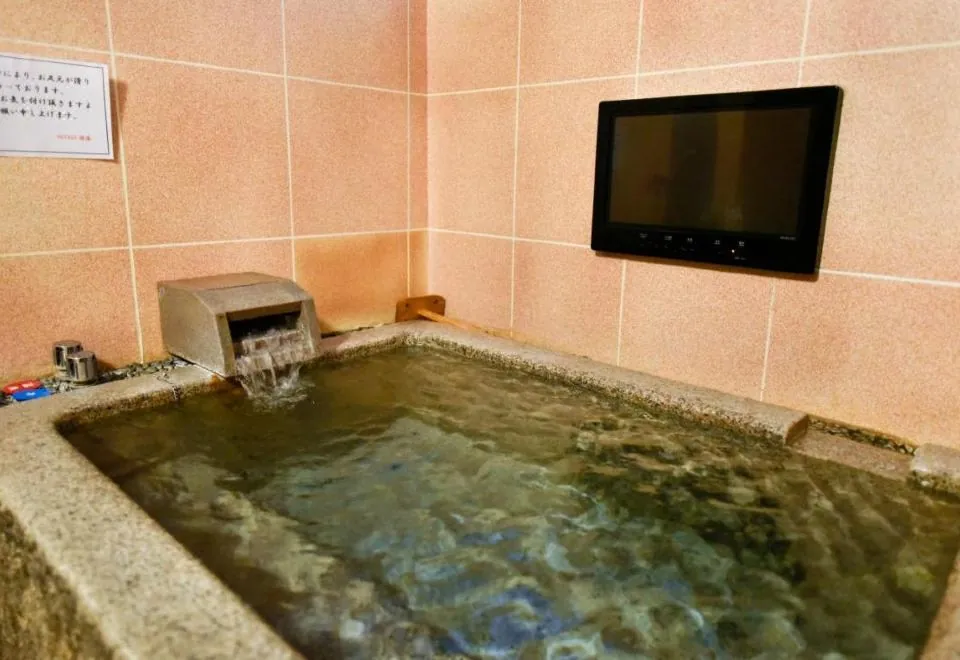 Kamegawa Onsen Yuyu