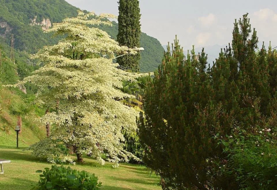 Villa Ucci Luxury B&B