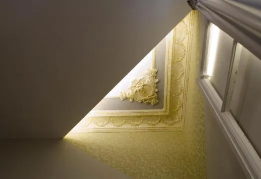 Napoli Svelata