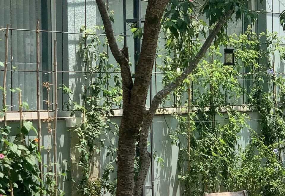 Hoang Loc Villa
