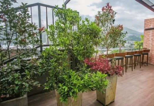 Sevana City Hotel