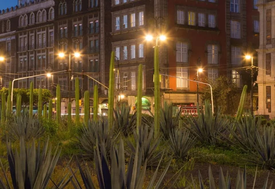 Hotel Zocalo Central
