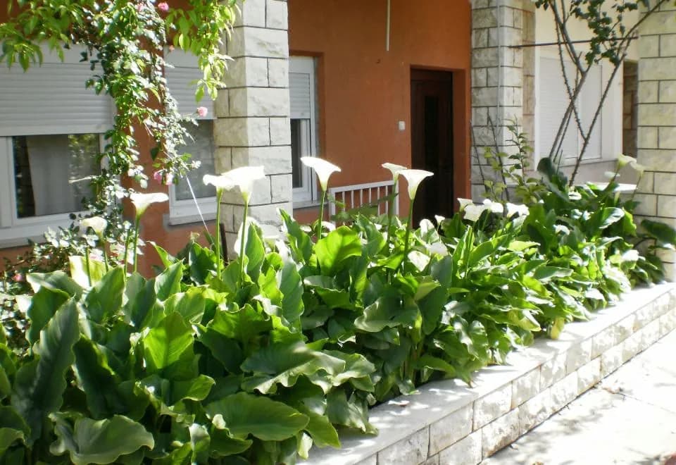 Apartmani Marija