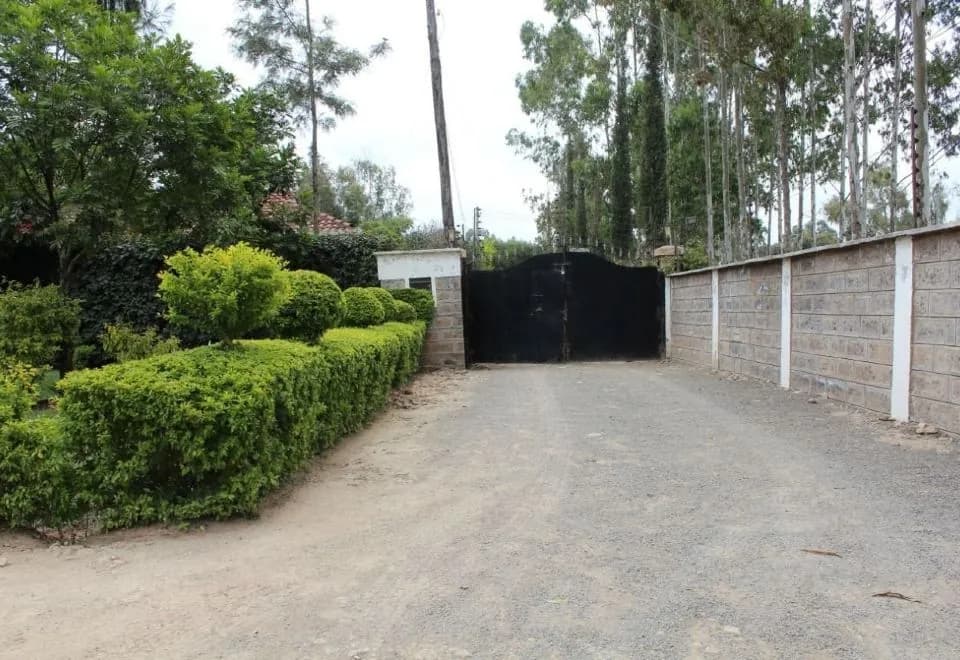 Zaburi Place
