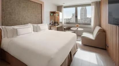 Melia Madrid Princesa