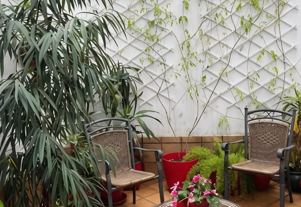 Un Patio Al Sur