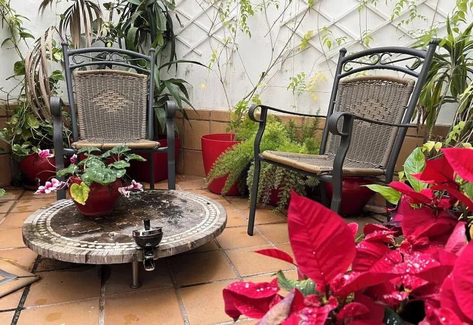 Un Patio Al Sur