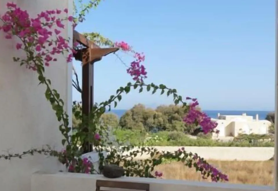 Anna Traditional Apartments