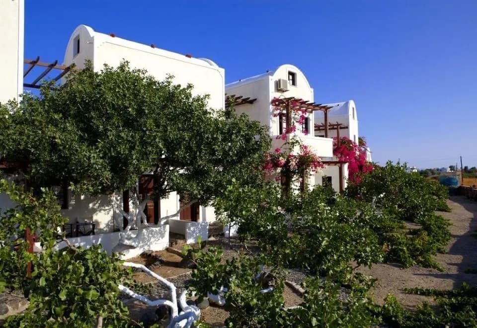 Anna Traditional Apartments