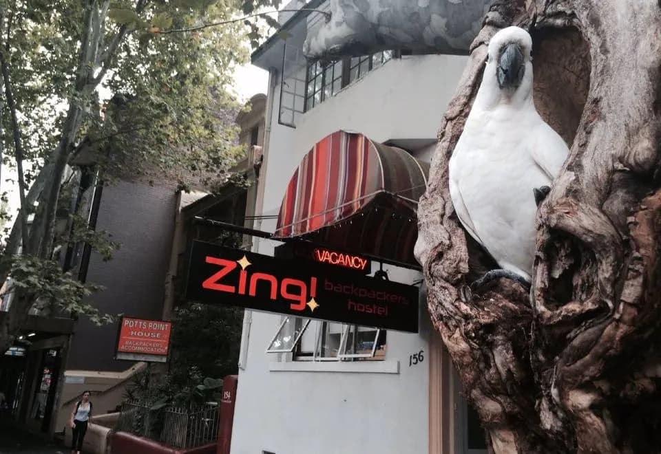 Zing Backpackers Sydney