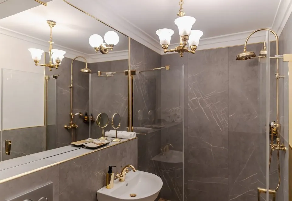 H15 Hotel Francuski