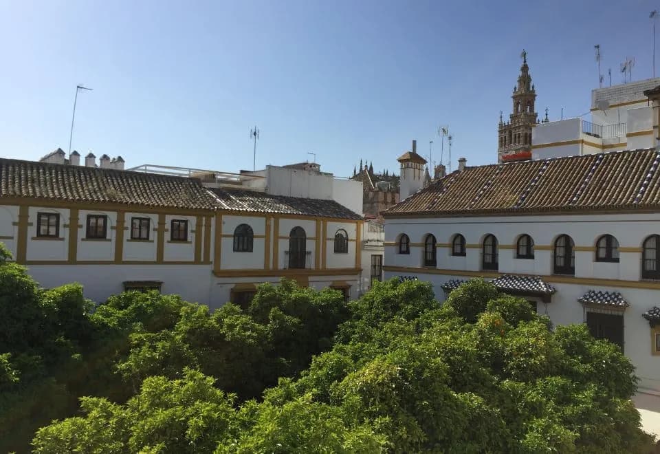 Hotel Boutique Elvira Plaza