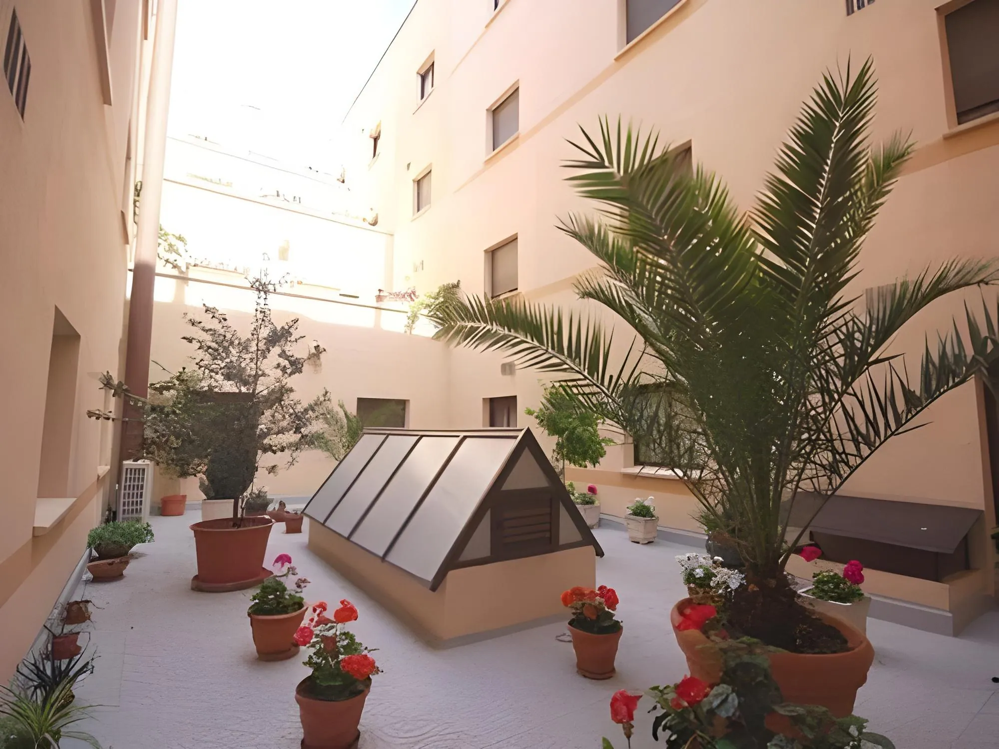 Hotel Zentral Mayoral