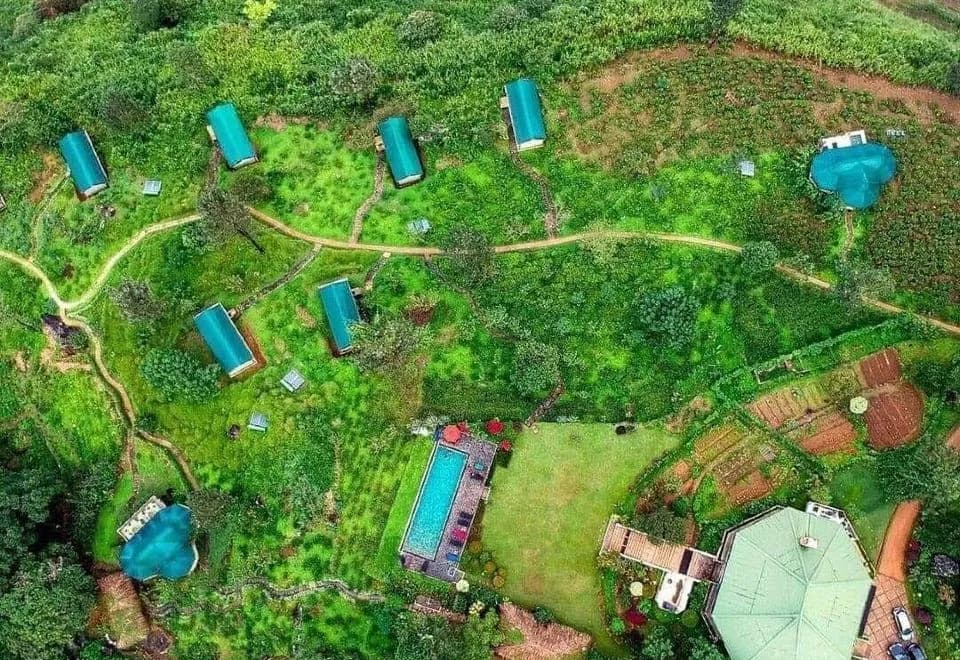 Madulkelle Tea and Eco Lodge