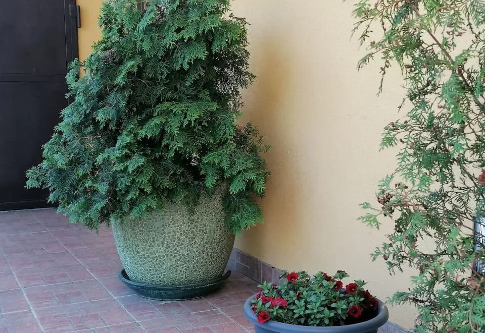 Hotel Arko