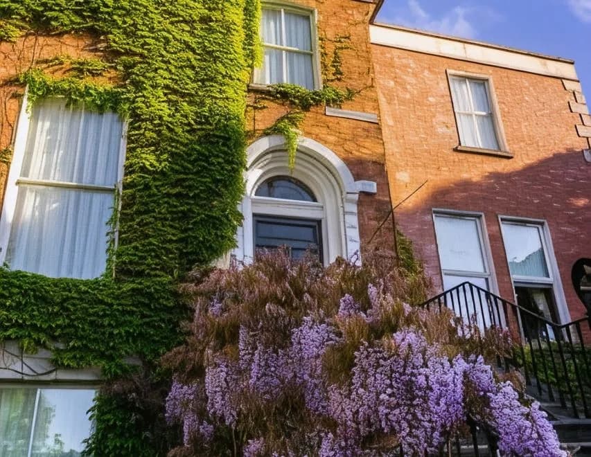 Butlers Townhouse