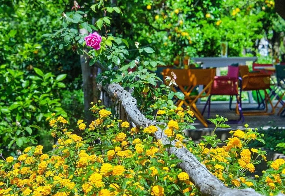 Relais Correale Rooms & Garden