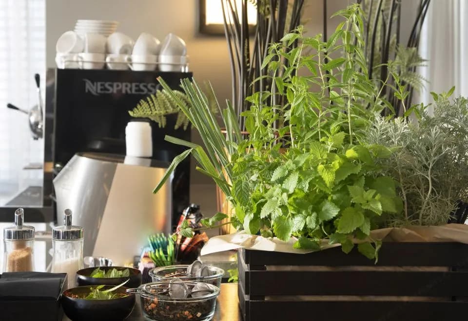 Vital Hotel - Business Boutique Hotel