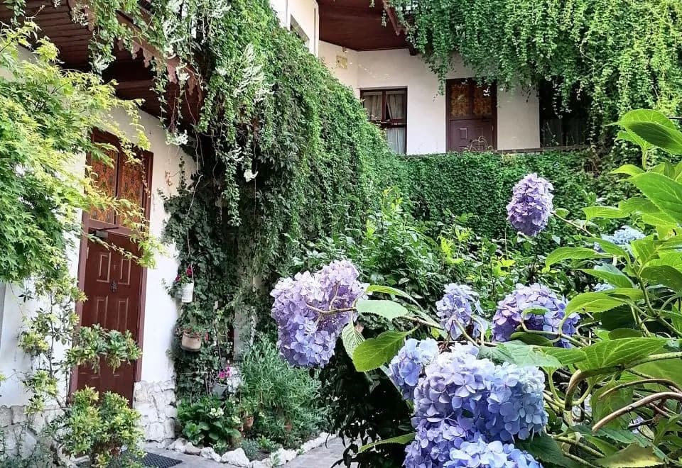Globtroter Guest House