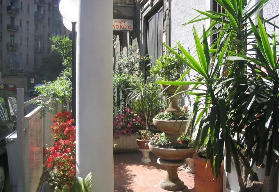 Hotel Mayorca