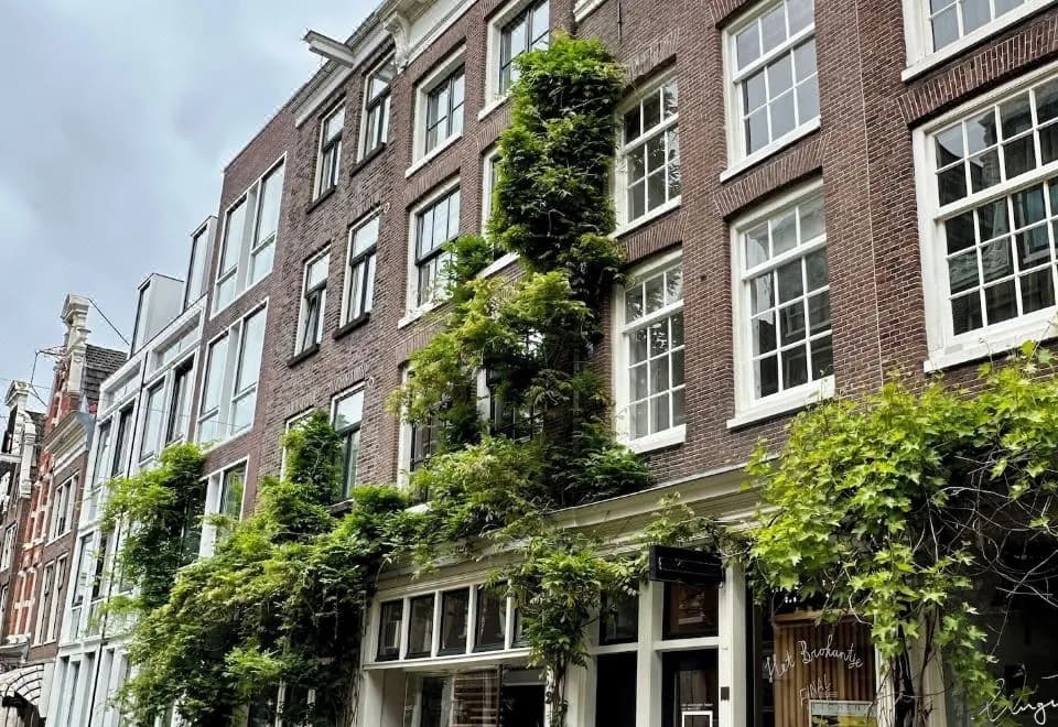 Amsterdam B&B Barangay