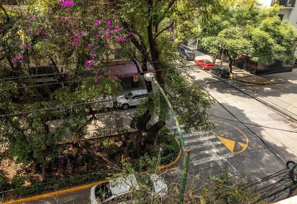 Maria Condesa - In Mexico City (La Condesa)