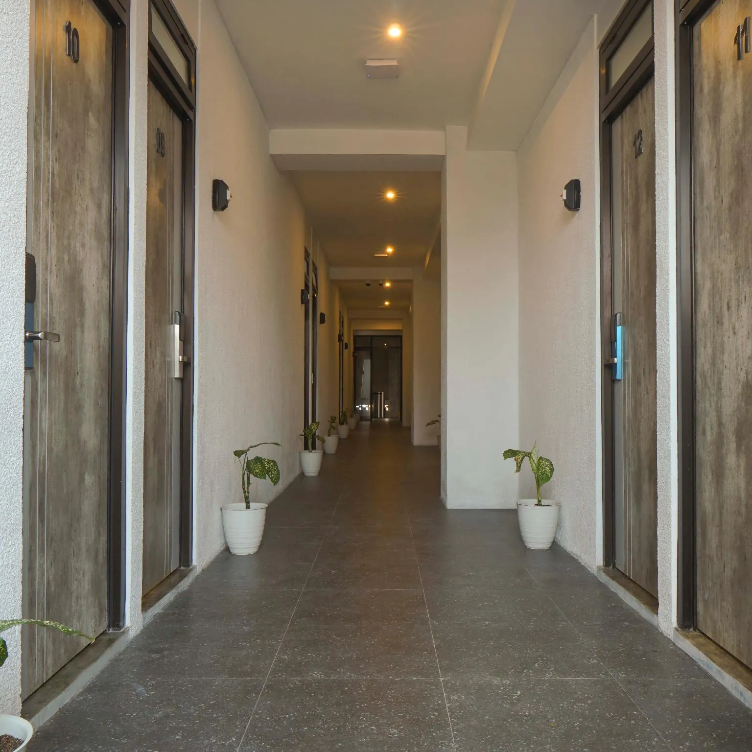 Dparagon Malioboro