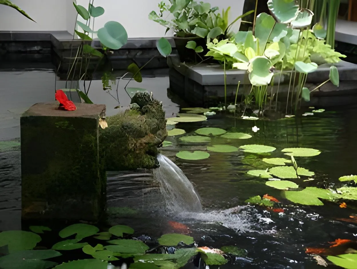 Villa Des Indes - An Elite Haven