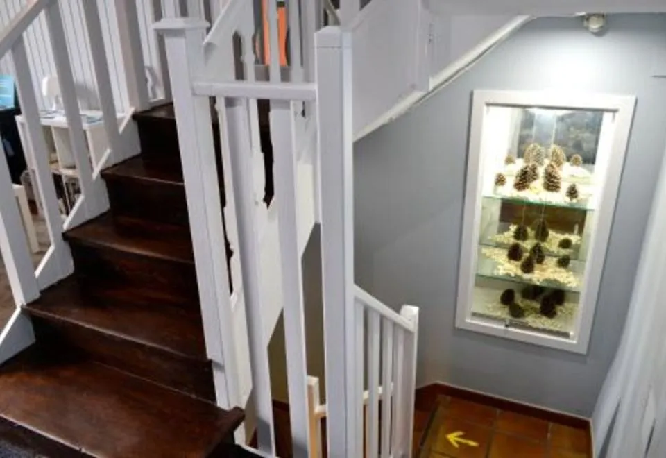 Albergue O Fogar de Teodomiro