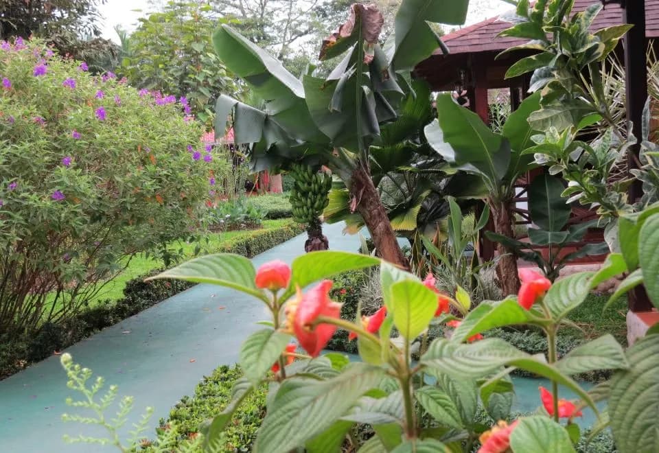 Arenal Montechiari Hotel