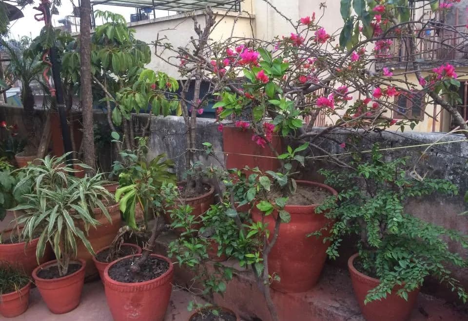 Holyland Guest House