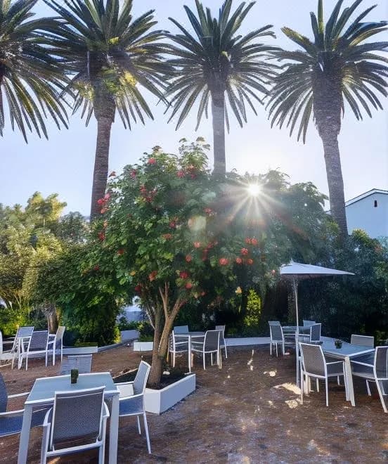 Palm House Luxury Guest House