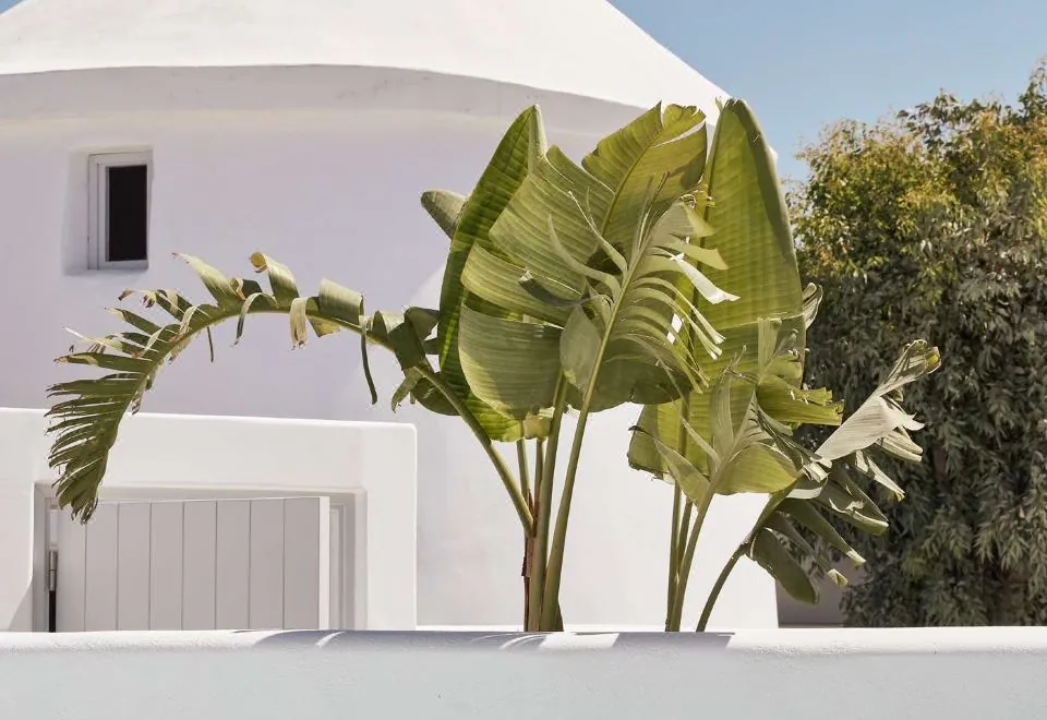 Nikki Beach Resort & Spa Santorini