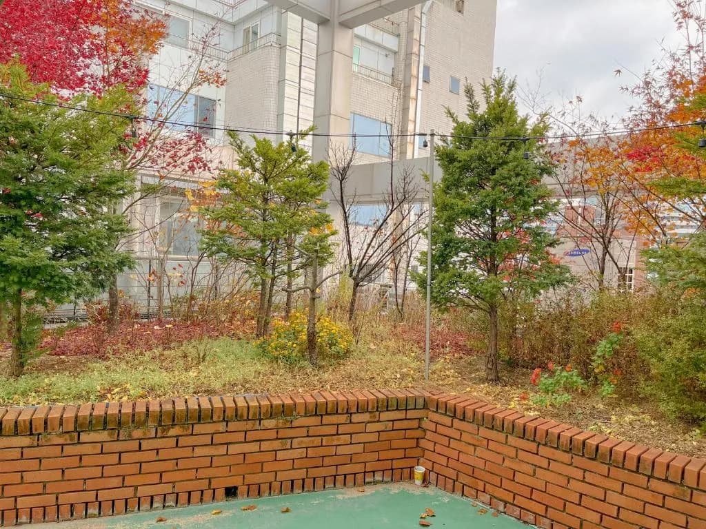 K9 Hotel Myeongdong