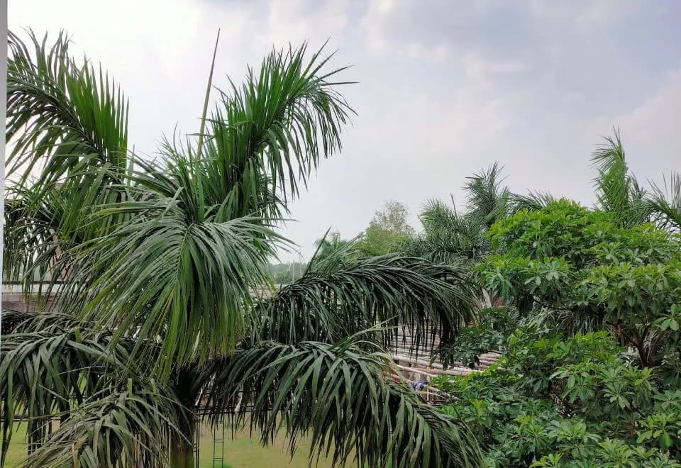 Hotel Karan Vilas