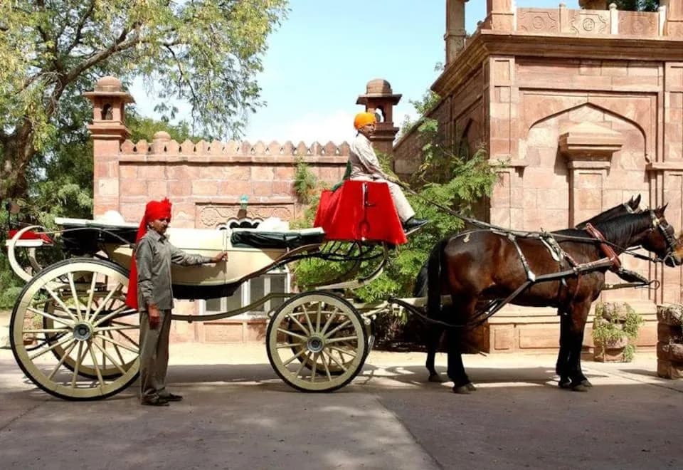 WelcomHeritage Bal Samand Lake Palace