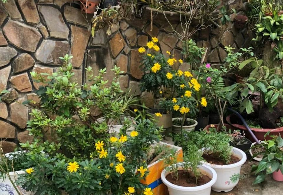 Phuong Hong Guesthouse
