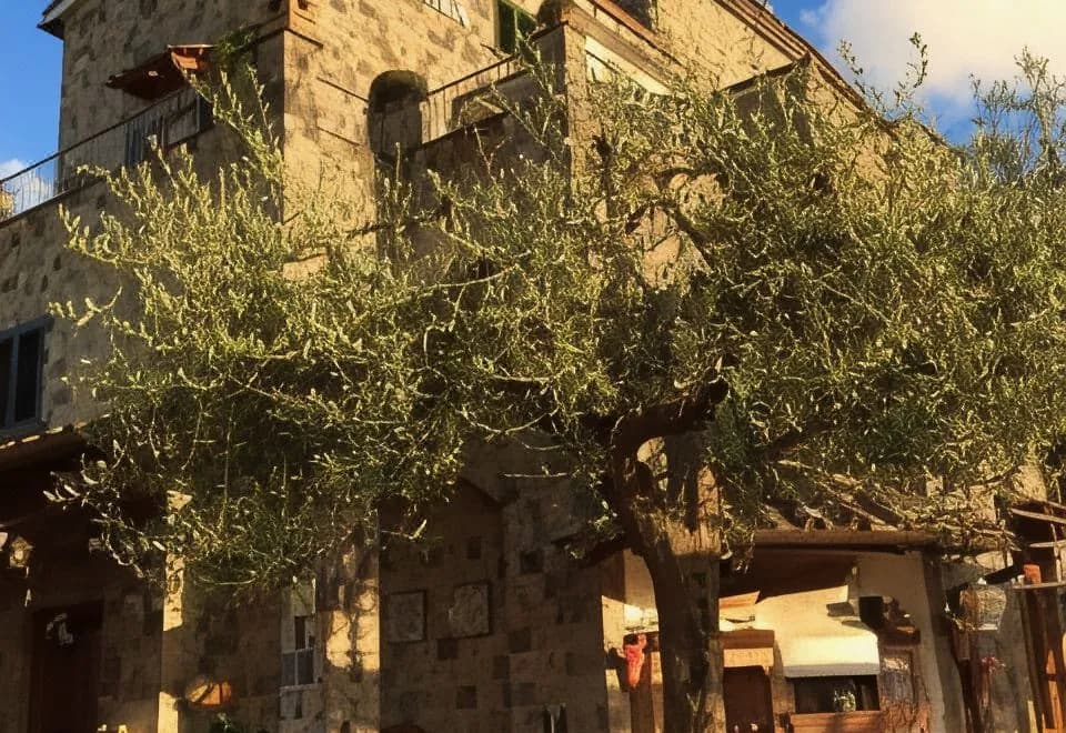 Villa Carolina Country House