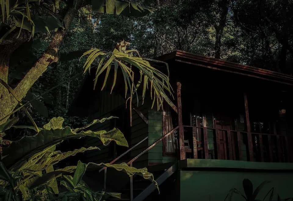 Jaguarundi Lodge - Monteverde