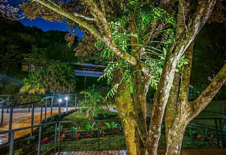 Cloud Forest Lodge by Böëna