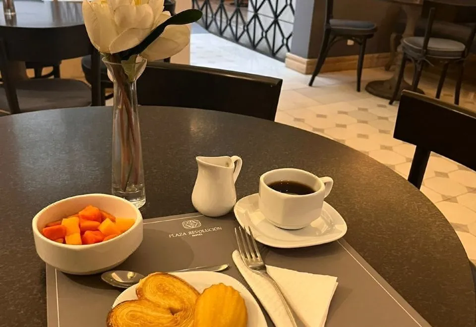 Hotel Plaza Revolución