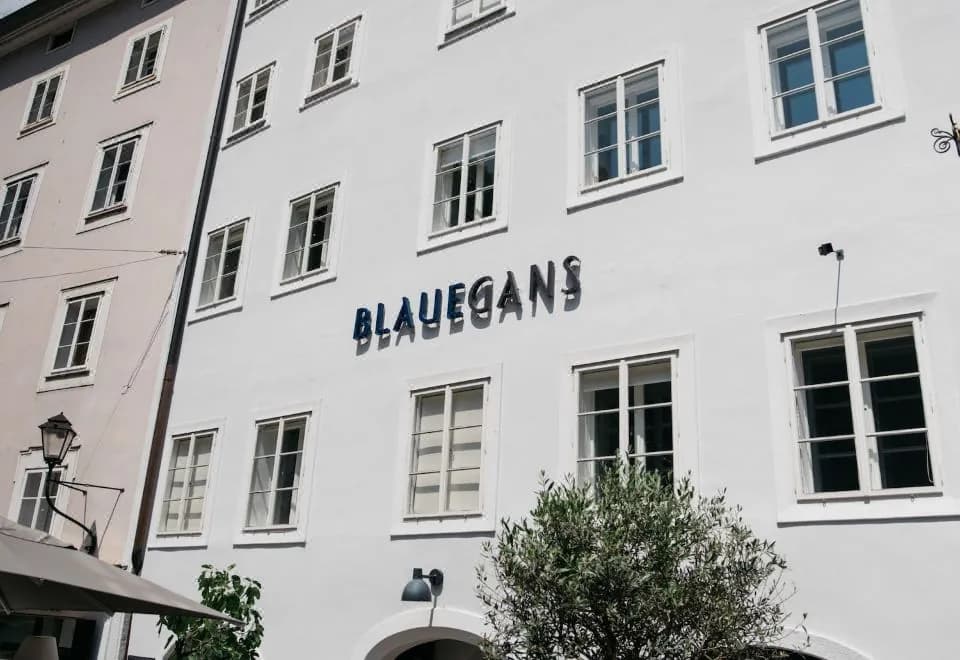 ArtHotel Blaue Gans