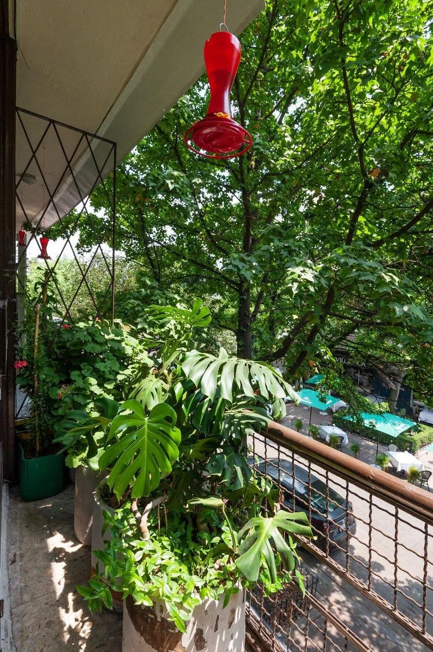 Casa Itzae B&B