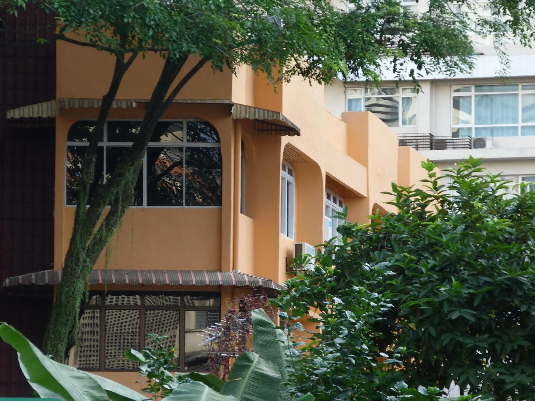 Orange Pekoe Guesthouse
